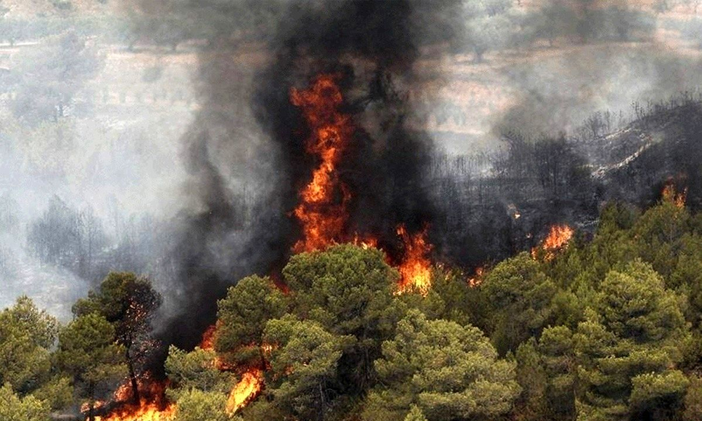 آنچه باید یک آتش نشان بداند ۱۰۹: علت یابی حریق (حریق‌های جنگل و کوهستان)