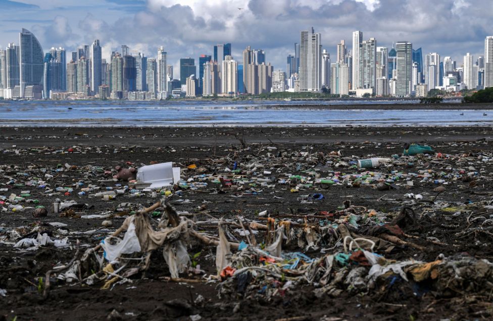 زباله‌ها و ضایعات پلاستیکی در ساحل پاناما سیتی