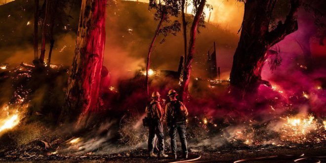 مصدومیت سه محیط‌بان در حادثه آتش‌سوزی پارک ملی گلستان