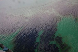 پاکسازی لکه های نفتی شناور بر خلیج فارس