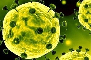 تلفات ویروس کرونا در کشور به ۶۶ نفر رسید