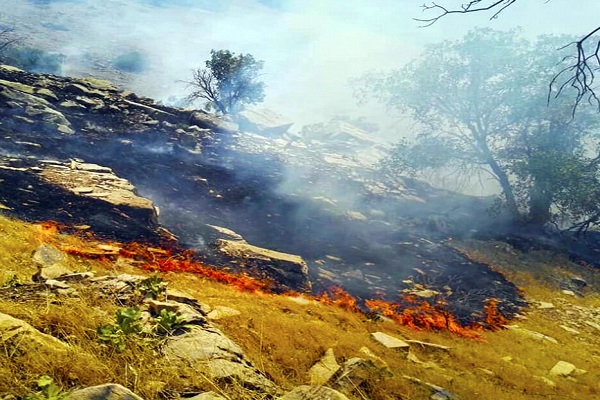 یک دهم از اراضی منطقه حفاظت شده خاییز در آتش سوخت