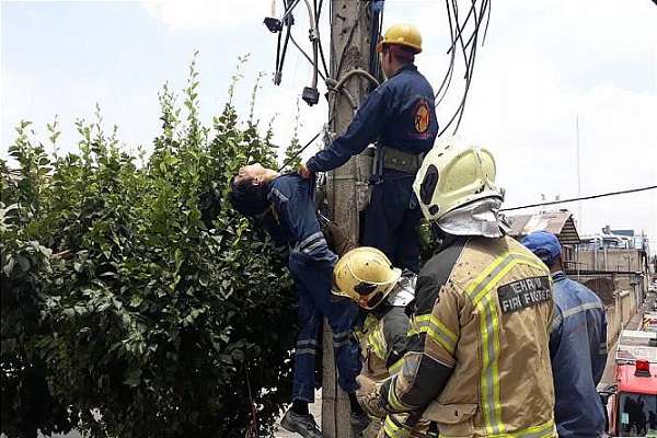 برق گرفتگی مرگبار کارگر اداره برق در شرق تهران