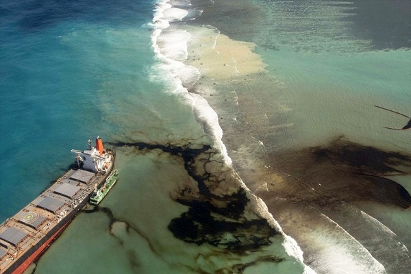 🎥 آلودگی نفتی سواحل موریس