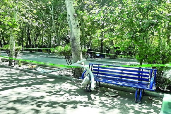 فریاد مرگ در پارک لاله