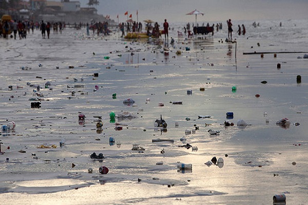 اثرات ویرانگر آلودگی بر اکوسیستم های دریایی