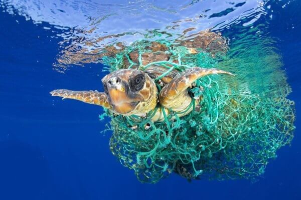 🎥افزایش چشمگیر پلاستیک اقیانوس‌ها تا ۲۰ سال آینده