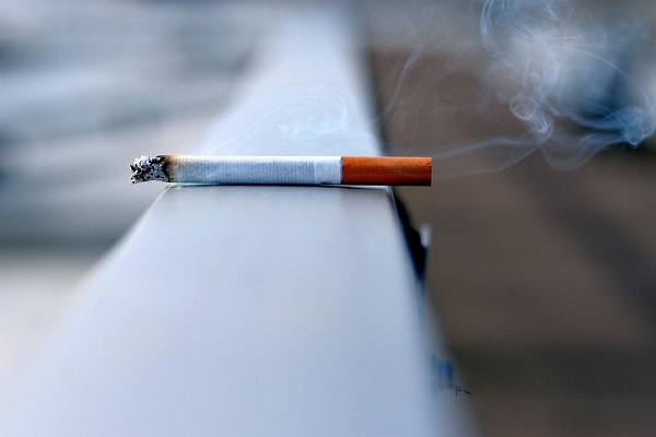 🎥 دخانیات، تخریب کننده محیط زیست