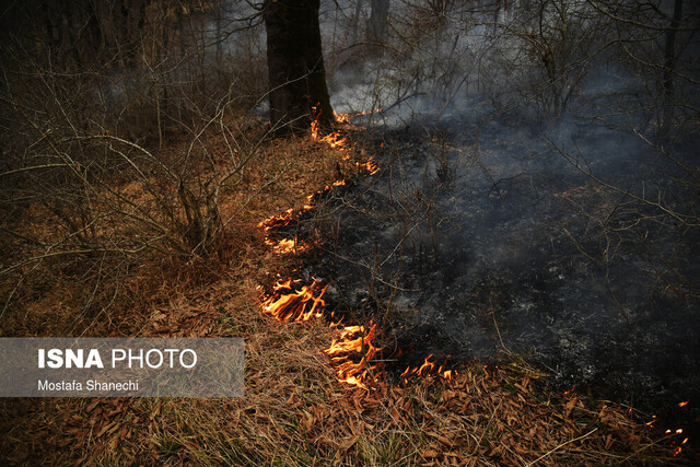 وقوع ۲۱ مورد آتش‌سوزی در عرصه‌های جنگلی مازندران/ حریق ۱۵ هکتار اراضی جنگلی