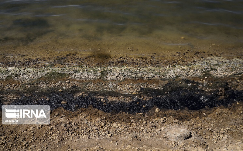 یک واحد آلاینده نفتی در خوزستان به کاشت پنج هزار درخت محکوم شد
