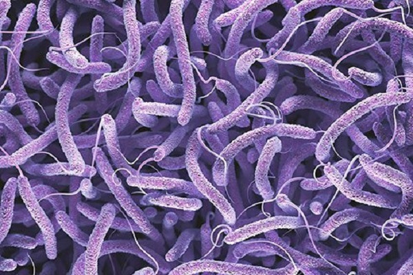 توضیحی درباره شایعات بروز وبا و وجود انگل در آب اهواز