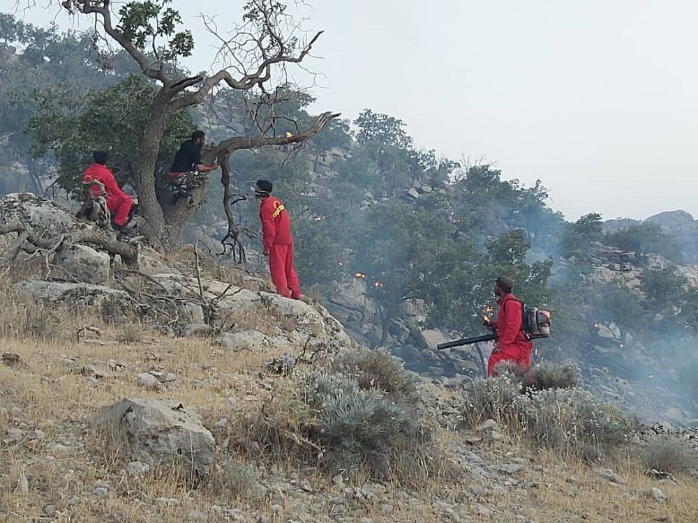 تلاش برای مهار آتش در جنگل های گچساران