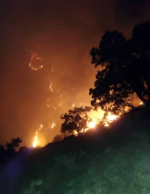 آتش سوزی جنگل‌ها و مراتع نارک