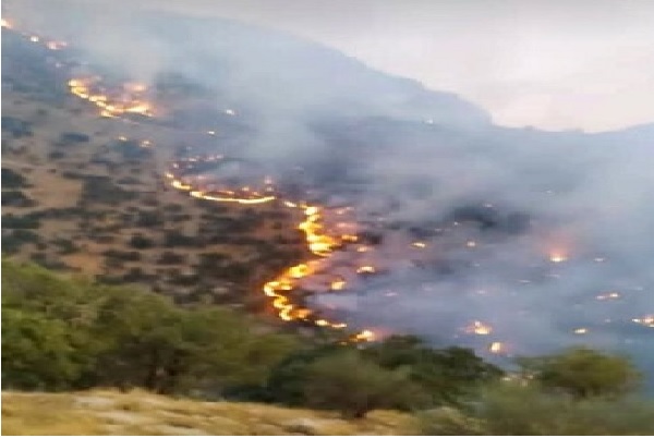 آتش گسترده در جنگل‌ها و مراتع «نارک» گچساران