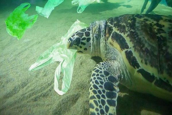 📽 ویدئو / عزم اروپا برای مقابله با بحران پلاستیک