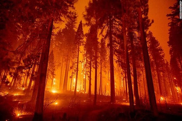 ادامه حریق‌های جنگلی در کالیفرنیا و تخلیه ۱۰ هزار سکنه دیگر