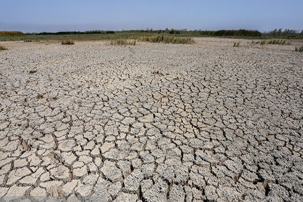 خشک شدن ۴ درصد “هورالعظیم” در ۵ روز گذشته / مرگ و میر نگران‌کننده آبزیان