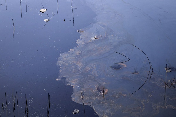 پاکسازی آلودگی نفتی اروندرود پس از چهار روز