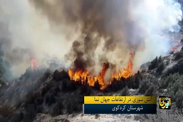 📽 ویدئو / آتش سوزی منطقه حفاظت شده جهان نمای گلستان