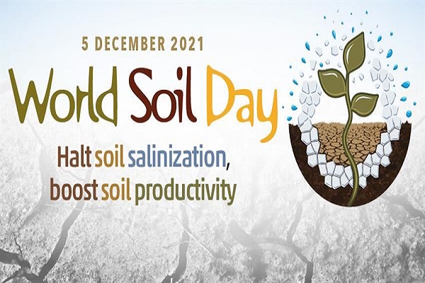 روز جهانی خاک با شعار “تاکید بر جلوگیری از شوری و افزایش بهره‌وری خاک”