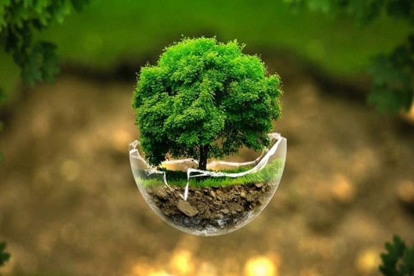 روز زمین پاک ، تلنگری برای مانایی سیاره آبی در میزبانی از بشر