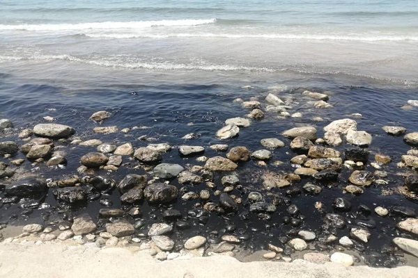 ساحل سیراف به لکه‌های نفتی آلوده شد
