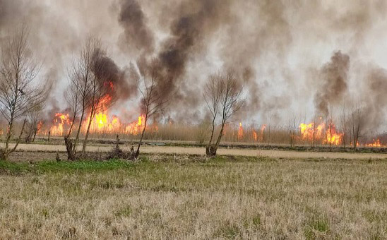 استعداد ۸ میلیون هکتاری جنگل های ایران برای آتش سوزی