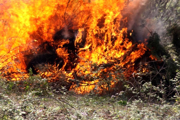 مرگ یک کشاورز بر آتش سوزی