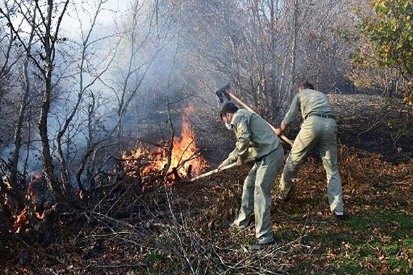 آتش به جان عرصه های طبیعی سوادکوه شمالی افتاد