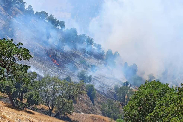 تداوم جدال با آتش در جنگل های گچساران/ بکارگیری همه امکانات برای مهار حریق
