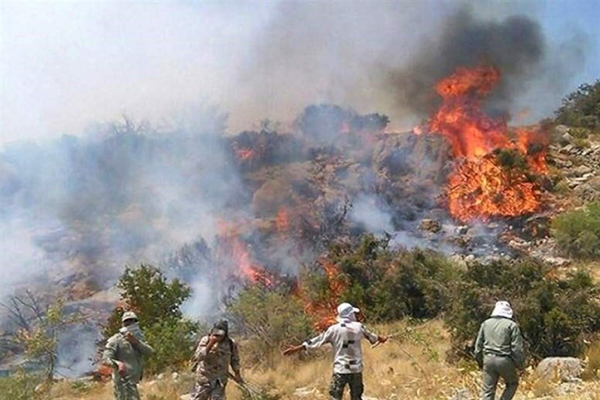 آتش سوزی در جنگل ها و مراتع منطقه حفاظت شده خامی باشت مهار شد