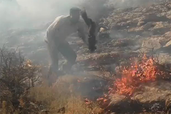📽 ویدئو / محیط‌بان برومند نجفی در تلاش برای مهار آتش سوزی مراتع و منابع طبیعی