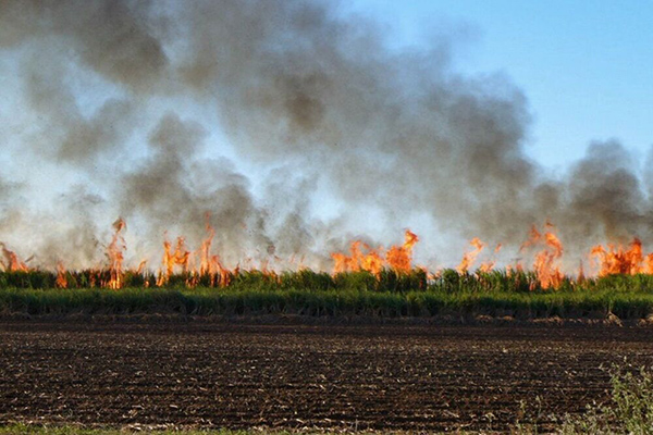 اعتراض اهالی برخی روستاهای شهرستان کارون به آتش سوزی مزارع نیشکر
