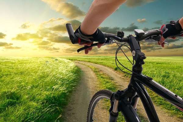 آهنگ حفظ محیط زیست: استفاده از دوچرخه