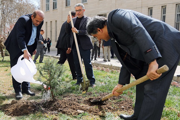 ۲۵۰ میلیارد تومان برای طرح کاشت یک میلیارد درخت در نظر گرفته شد