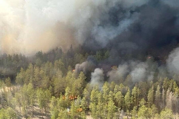 ۱۴ کشته در آتش سوزی‌ های گسترده جنگل‌های قزاقستان