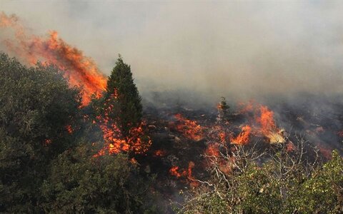 بیش از ۲۵ هکتار از مراتع استان طی ۱۰ روز گذشته در آتش سوخت