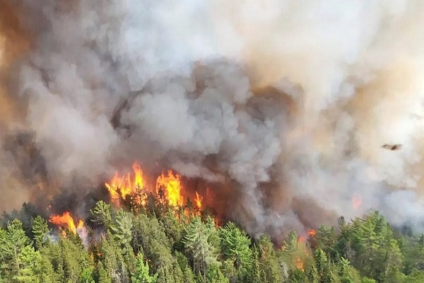 🎥 ویدئو/ دود آتش سوزی در کانادا، به نروژ رسید