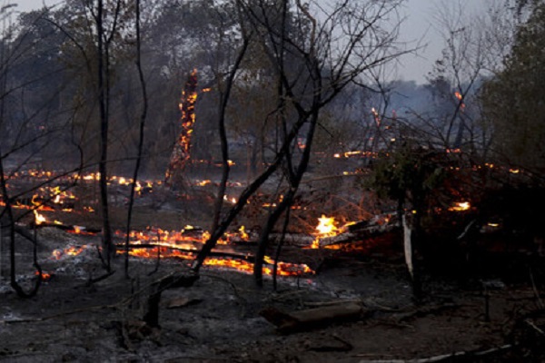 پارک ملی کرخه هر روز گرفتار آتش‌سوزی است/ پیش‌بینی افزایش موارد حریق
