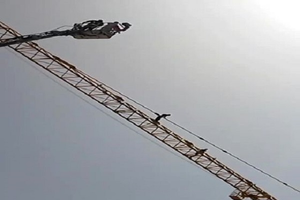 🎥 ویدئو/ عجیب ترین خودکشی در ایران / عملیات۳ ساعته پلیس بین زمین و آسمان
