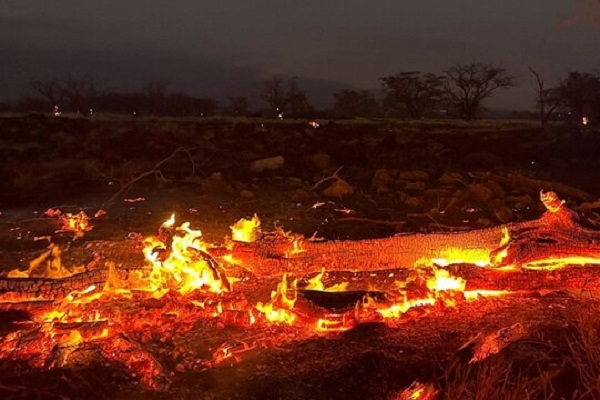 مقامات هاوایی «شرکت‌های برق» را مقصر وقوع آتش‌سوزی‌های مرگبار اخیر می‌دانند
