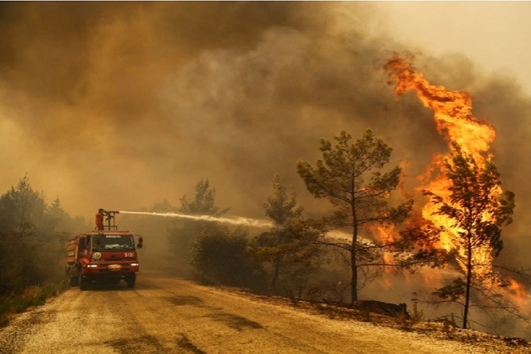 🎥 ویدئو/ ترکیه نیز طعمه آتش‌سوزی‌های جنگلی شد