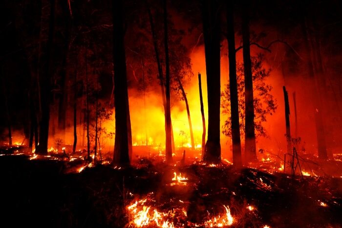 🎥 ویدئو / باد گرم جنگل‌های آستارا را به آتش کشید