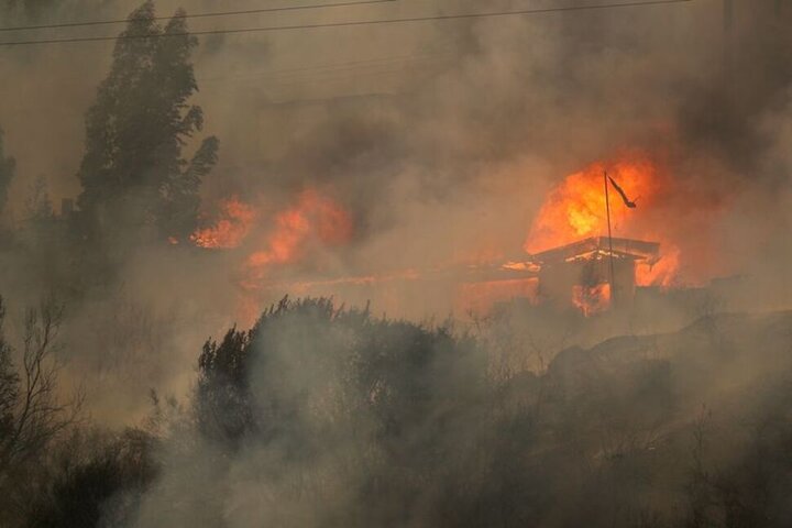 🎥ویدئو/دست‌کم ۴۶ نفر در آتش‌سوزی‌های جنگلی در شیلی جان باختند