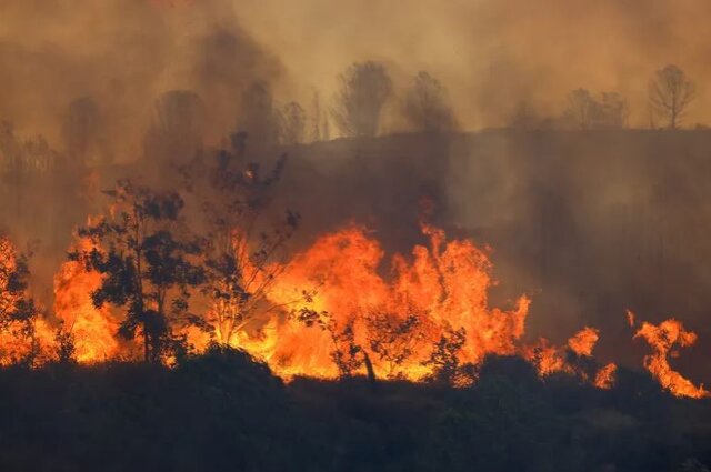 آتش‌سوزی جنگلی در غرب ترکیه