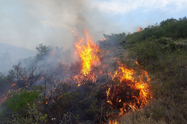 وقوع ۱۳۹ فقره آتش‌سوزی در جنگلهای لرستان