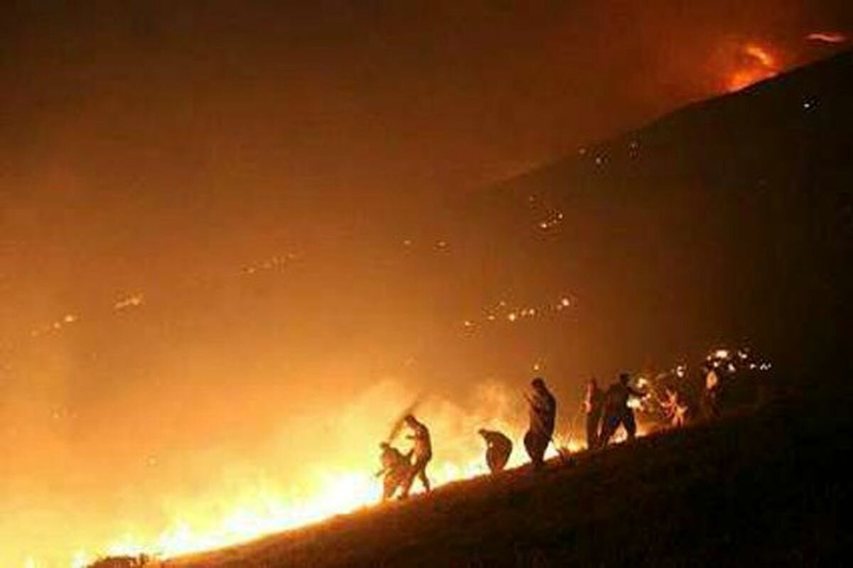 🎥 ویدئو/جنگل‌ها و مراتع کبیرکوه محدوده آبدانان استان ایلام همچنان در آتش می‌سوزد