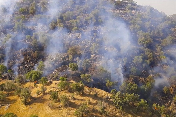 🎥 ویدئو/جزئیات آتش‌سوزی در جنگل و مراتع منطقه حفاظت شده خائیز