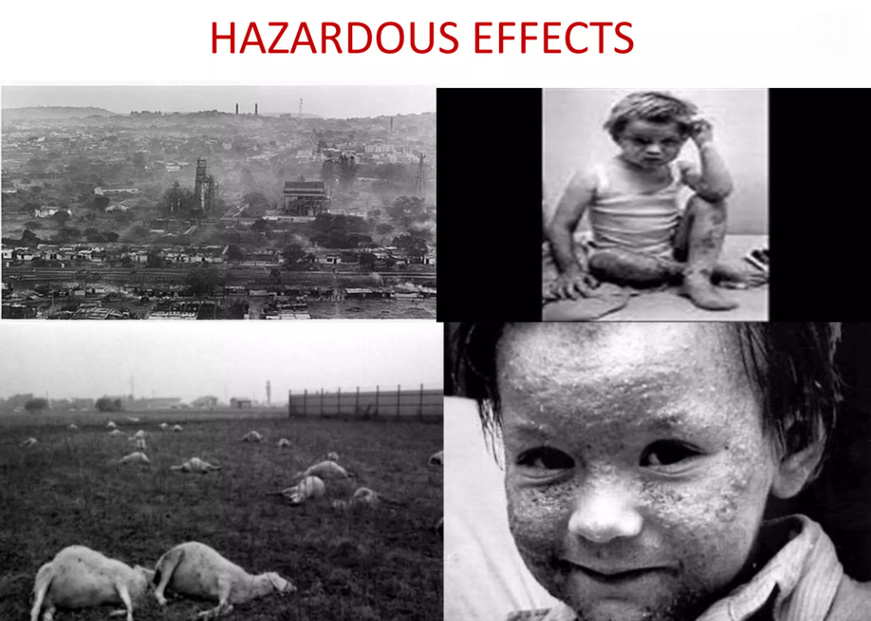 اثرات خطرناک فاجعه سوسو