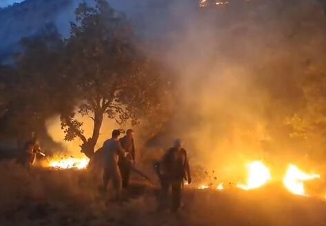 🎥 ویدئو/آتش سوزی در ارتفاعات گیلانغرب